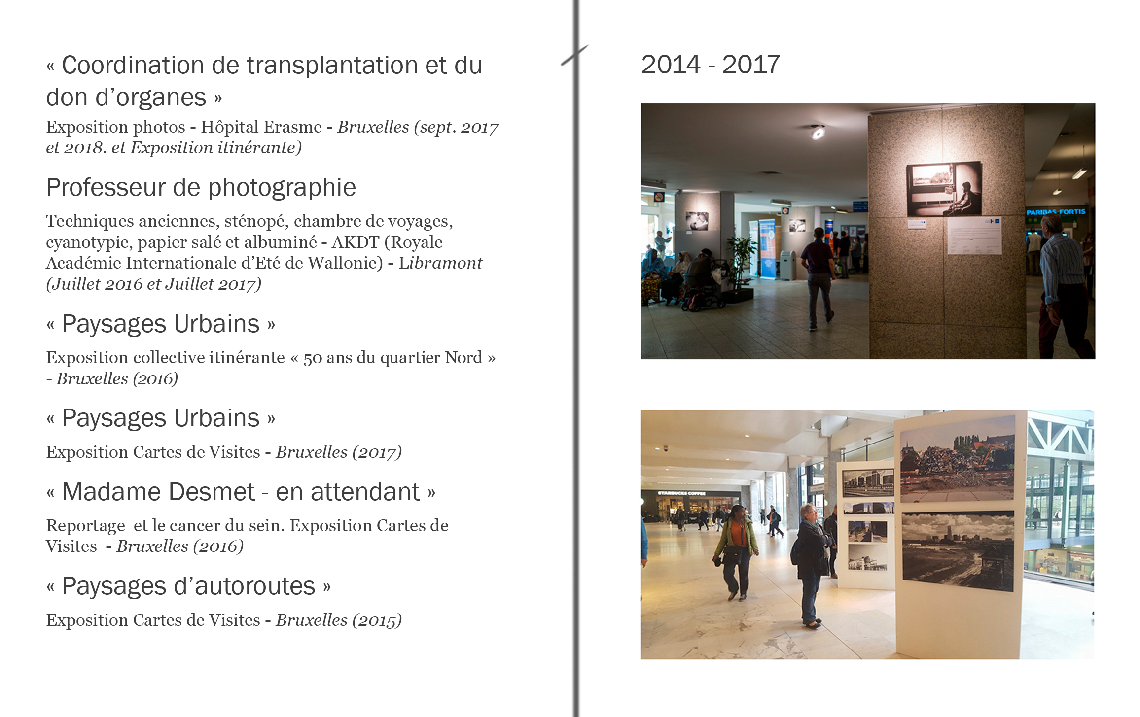 Parcours Artistique Thierry Wieleman