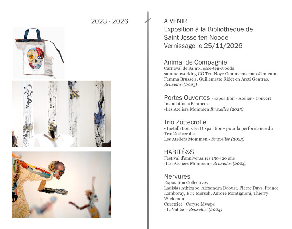 Parcours Artistique Thierry Wieleman