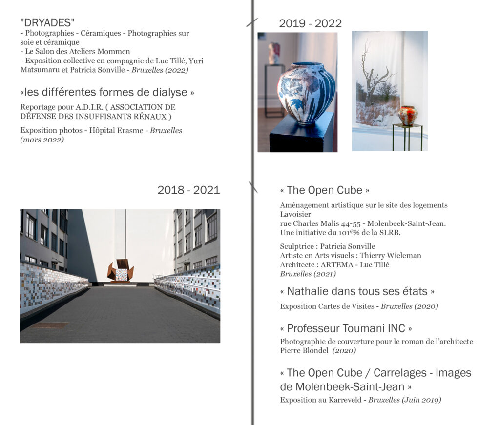 Parcours Artistique Thierry Wieleman